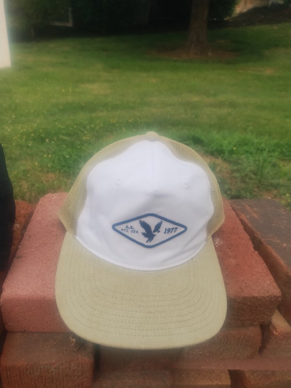 NWT American Eagle OutfittersTrucker hat unisex